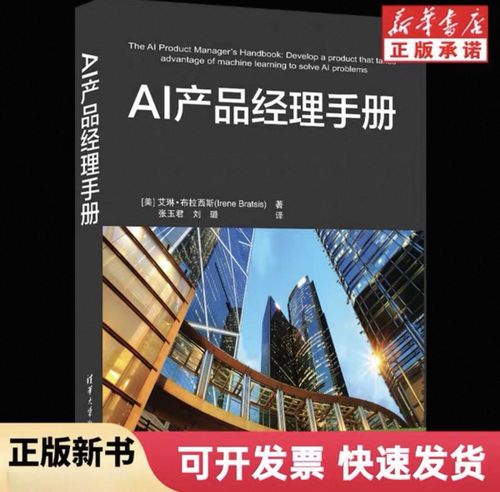 ai产品经理手册 艾琳布拉西斯 张玉君 人工智能产品经理教程 人工智能